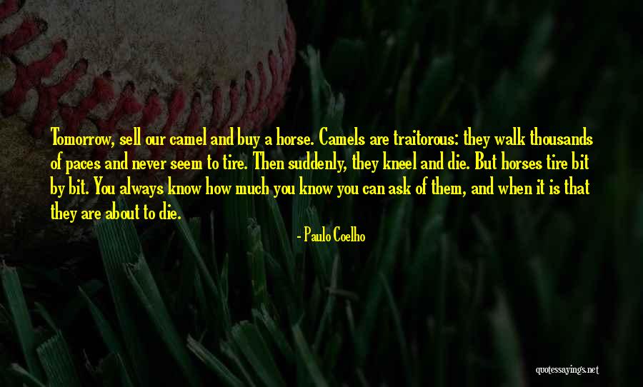Damire Quotes By Paulo Coelho Damire Quotes By Paulo Coelho