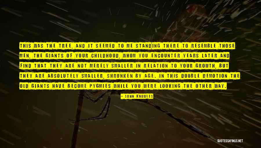Damlelya Quotes By John Knowles Damlelya Quotes By John Knowles