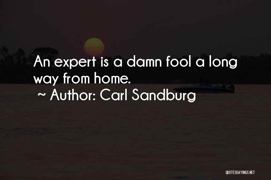 Damn Fool Quotes By Carl Sandburg