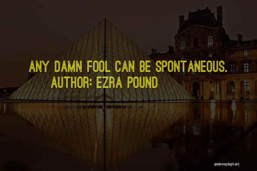 Damn Fool Quotes By Ezra Pound