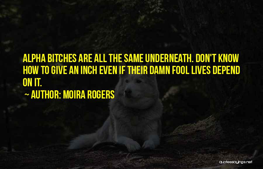 Damn Fool Quotes By Moira Rogers