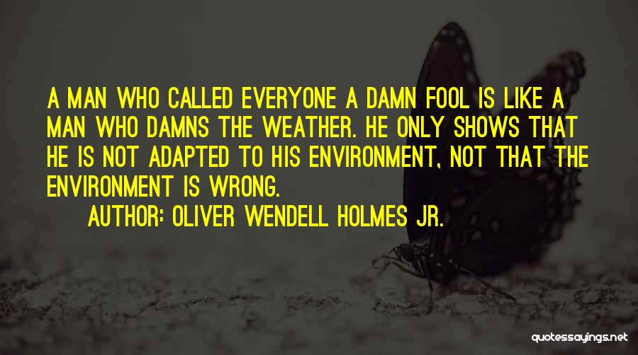 Damn Fool Quotes By Oliver Wendell Holmes Jr.
