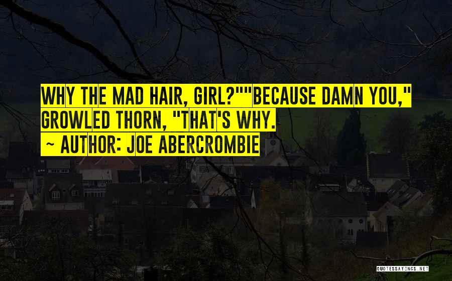 Damn You Girl Quotes By Joe Abercrombie