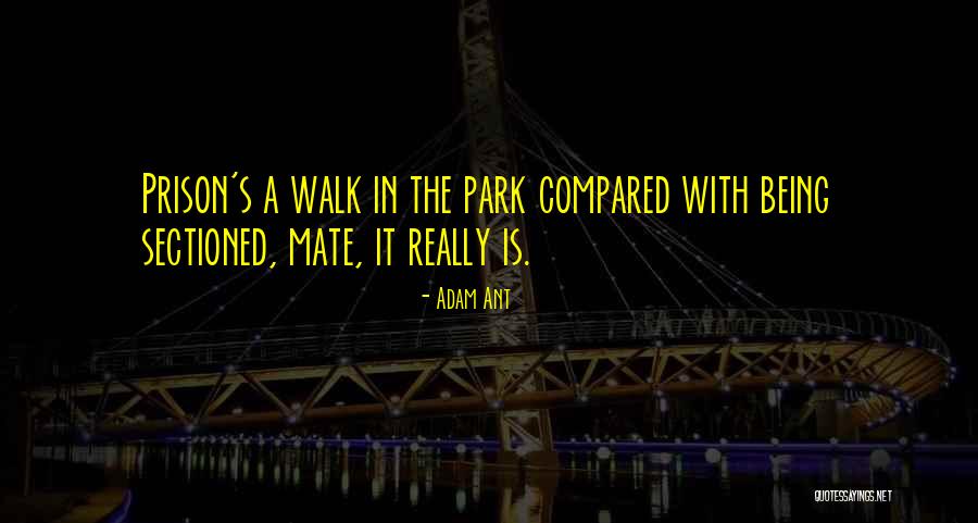 Damning Synonym Quotes By Adam Ant Damning Synonym Quotes By Adam Ant