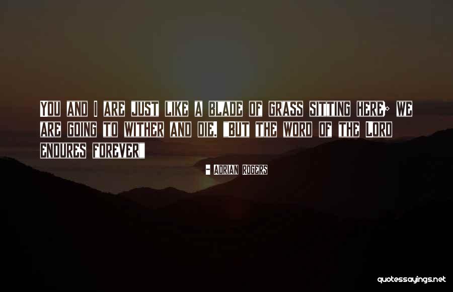 Damoiselle Elue Quotes By Adrian Rogers Damoiselle Elue Quotes By Adrian Rogers