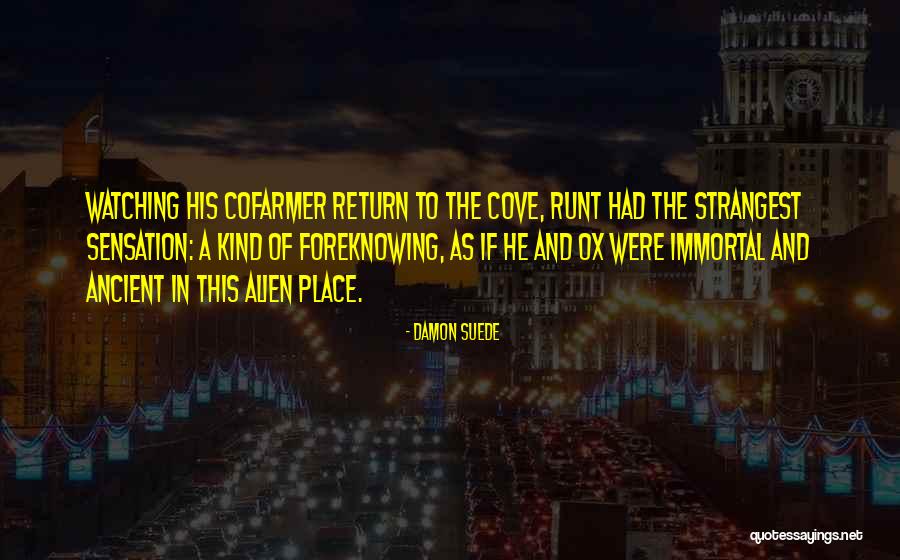 Damon Suede Quotes 1804305 Damon Suede Quotes 1804305