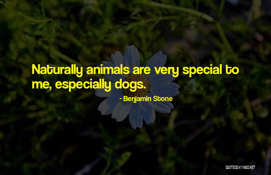 Dampak Korupsi Quotes By Benjamin Stone Dampak Korupsi Quotes By Benjamin Stone