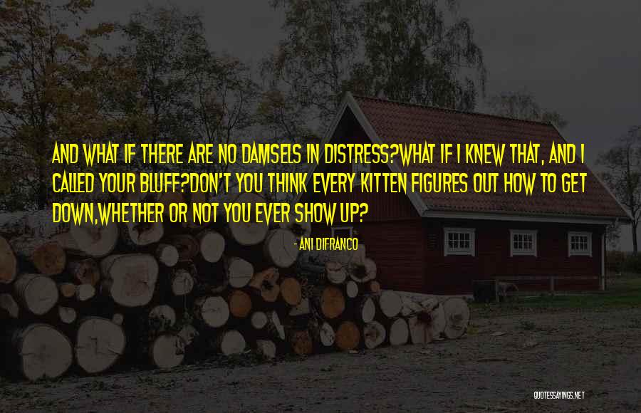 Damsels Quotes By Ani DiFranco Damsels Quotes By Ani DiFranco