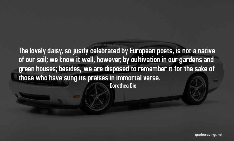 Dan Ball Powder Quotes By Dorothea Dix Dan Ball Powder Quotes By Dorothea Dix