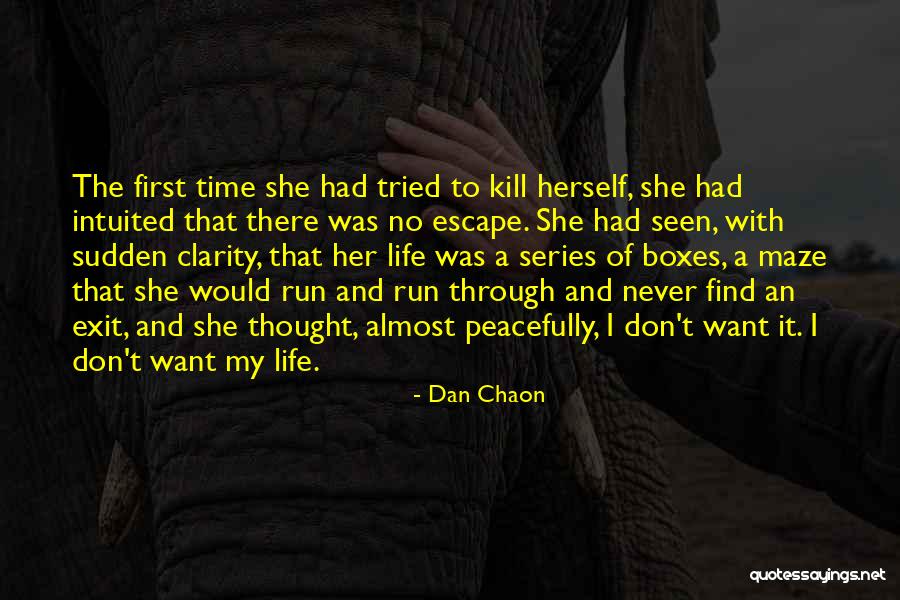 Dan Chaon Quotes 1402128