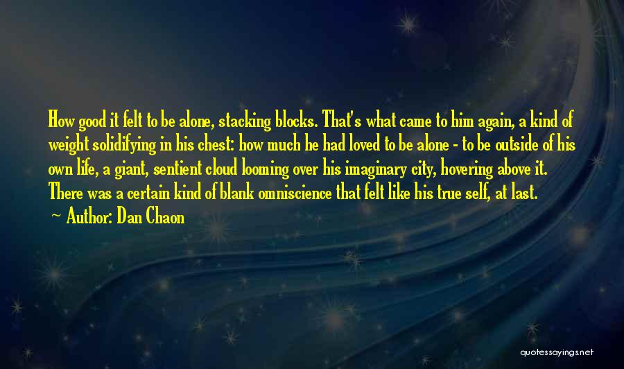 Dan Chaon Quotes 492458
