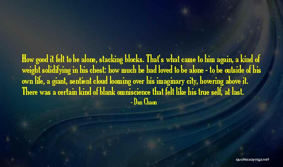 Dan Chaon Quotes 492458