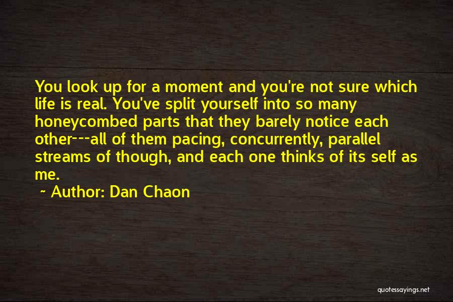 Dan Chaon Quotes 511534