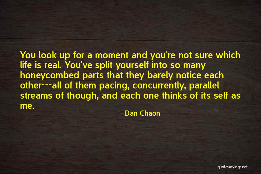 Dan Chaon Quotes 511534