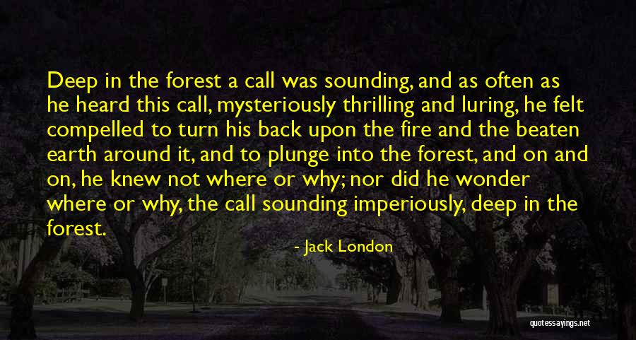 Dan Fielding Quotes By Jack London Dan Fielding Quotes By Jack London