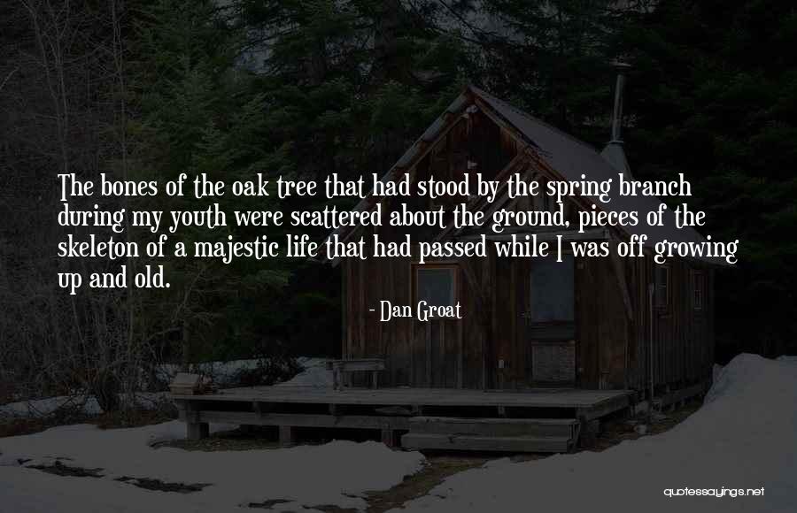 Dan Groat Quotes 1238262