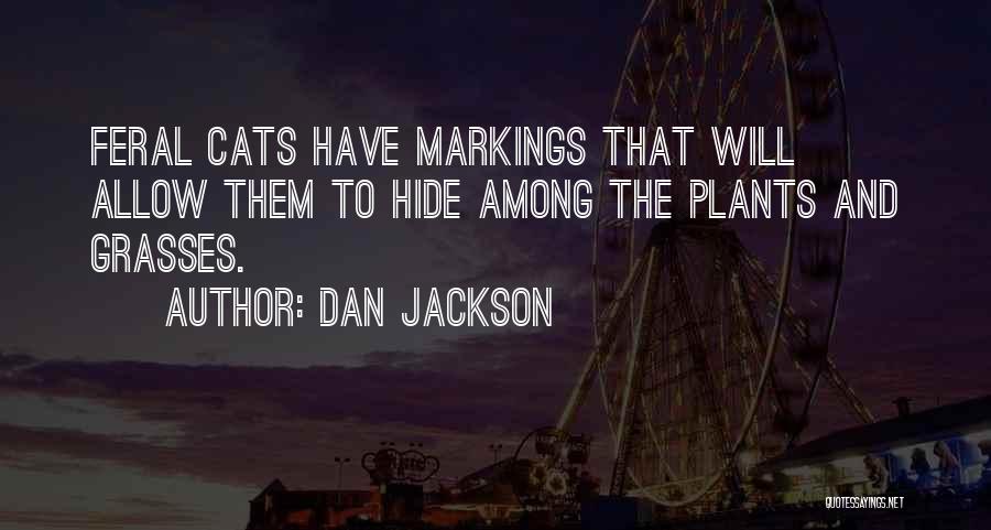 Dan Jackson Quotes 1469100