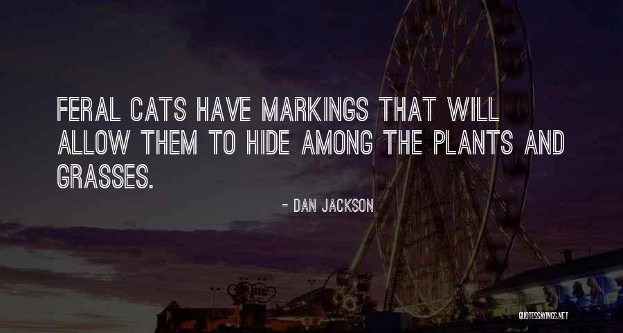 Dan Jackson Quotes 1469100