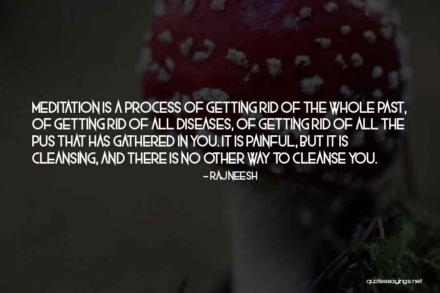 Dan Joyner Quotes By Rajneesh Dan Joyner Quotes By Rajneesh