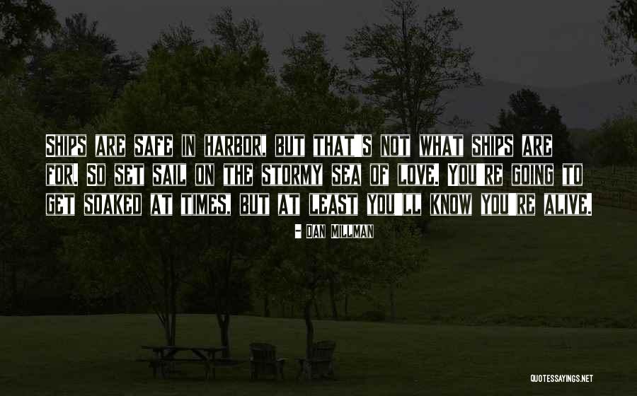Dan Millman Quotes 2255206 Dan Millman Quotes 2255206