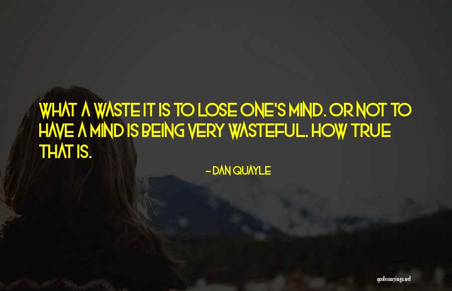 Dan Quayle Quotes 1199060 Dan Quayle Quotes 1199060