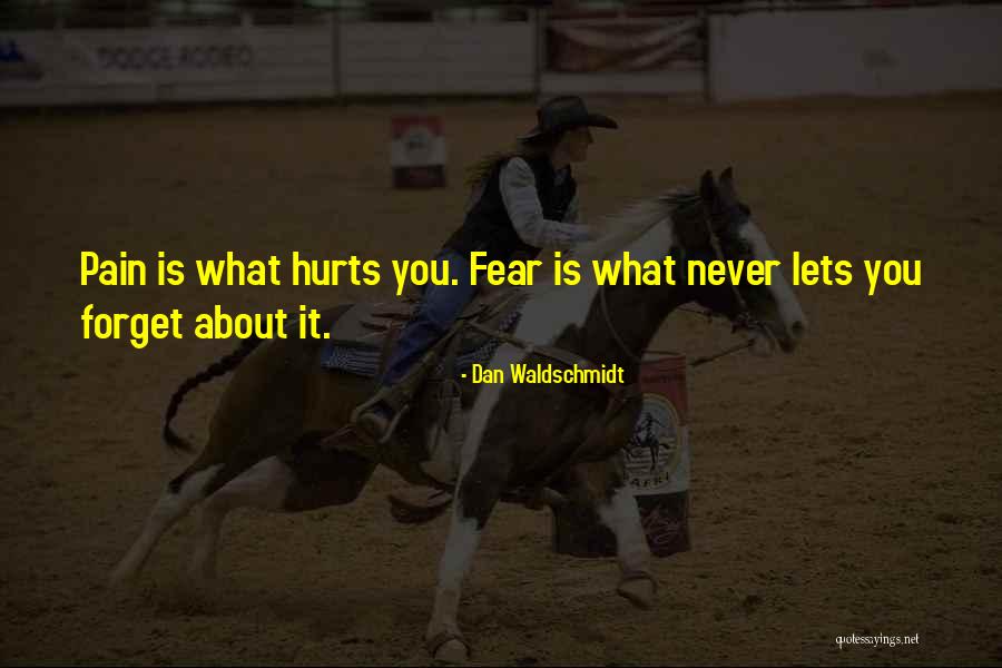 Dan Waldschmidt Quotes 2045422 Dan Waldschmidt Quotes 2045422