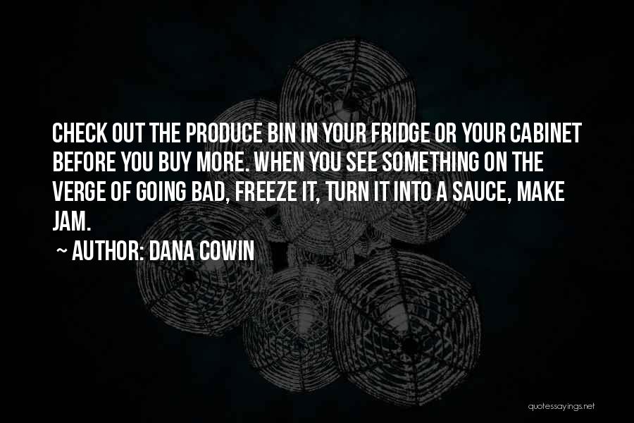 Dana Cowin Quotes 1106872