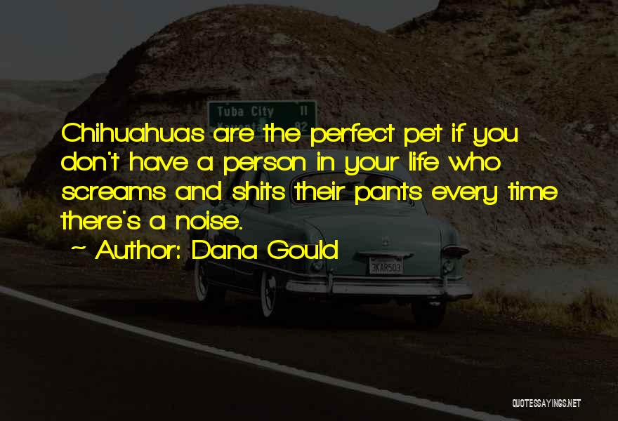 Dana Gould Quotes 410636