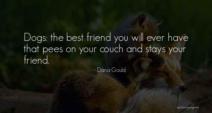 Dana Gould Quotes 807307 Dana Gould Quotes 807307
