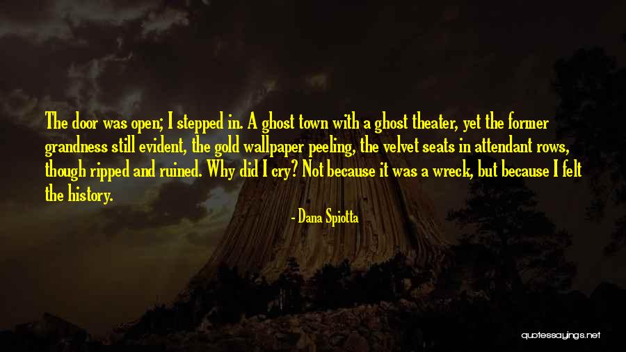 Dana Spiotta Quotes 2086046 Dana Spiotta Quotes 2086046