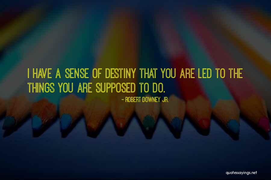 Danahy And Murray Quotes By Robert Downey Jr. Danahy And Murray Quotes By Robert Downey Jr.