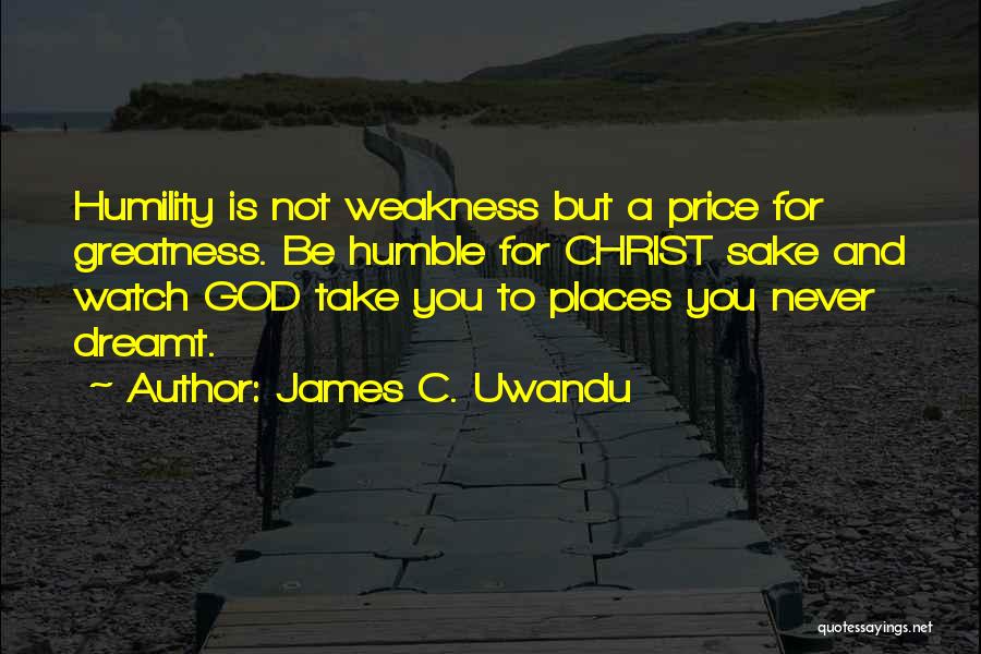Danao Living Quotes By James C. Uwandu