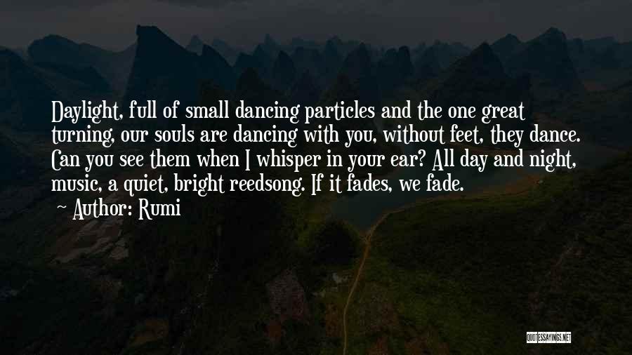 Dance All Day Quotes By Rumi