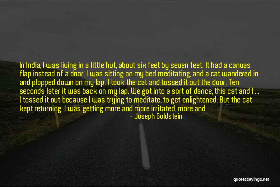 Dance Lesson Quotes By Joseph Goldstein Dance Lesson Quotes By Joseph Goldstein