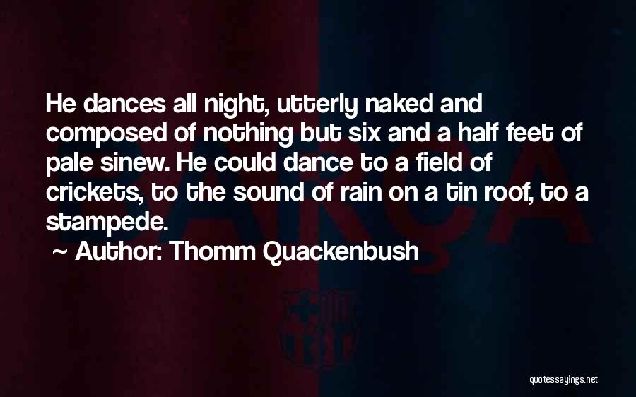 Dance On The Rain Quotes By Thomm Quackenbush