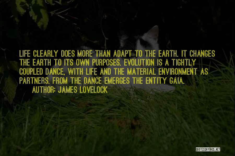 Dance Partners Quotes By James Lovelock