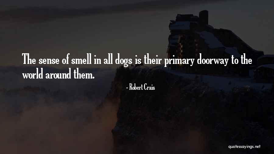 Dance Town Quotes By Robert Crais
