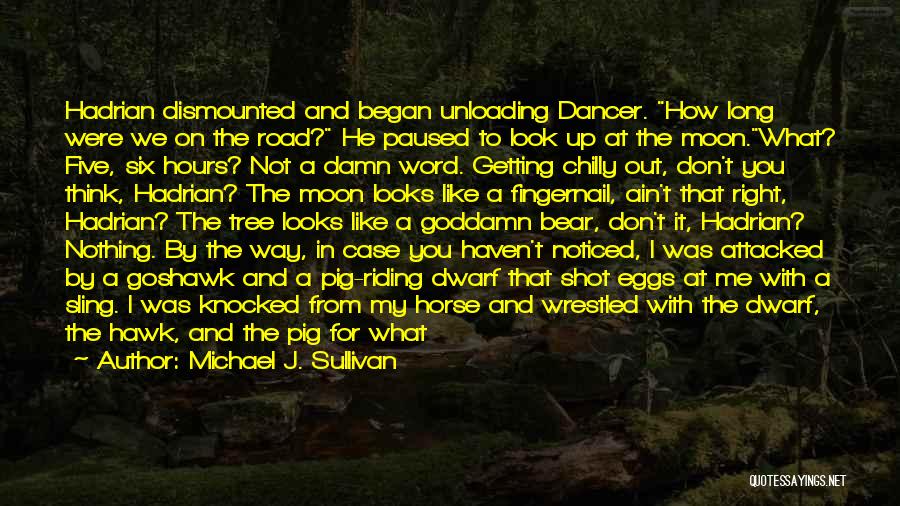 Dancer Hawk Quotes By Michael J. Sullivan