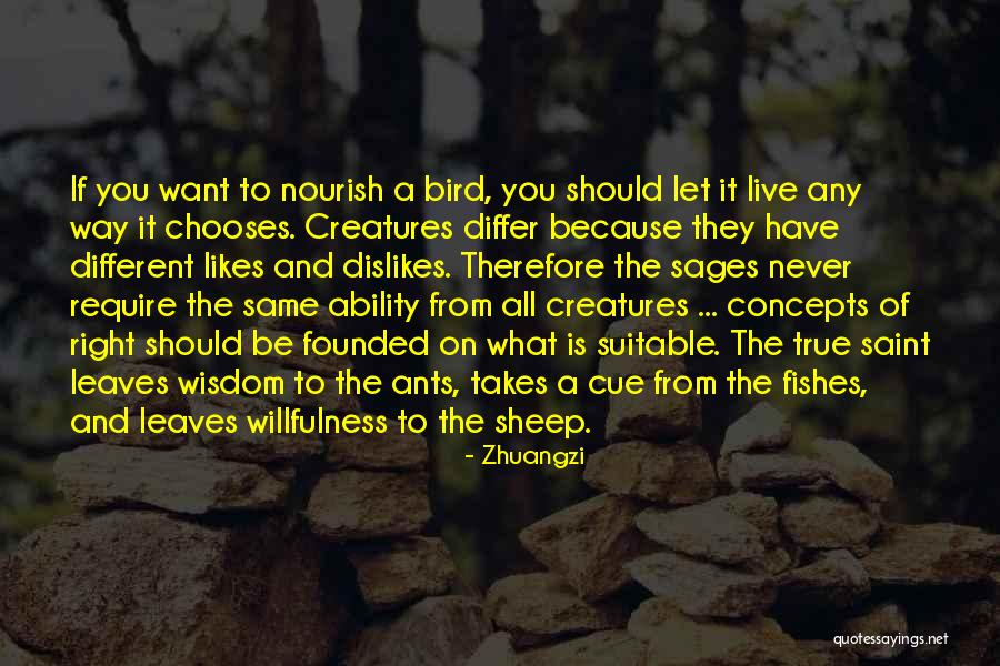Dancer Upstairs Quotes By Zhuangzi Dancer Upstairs Quotes By Zhuangzi