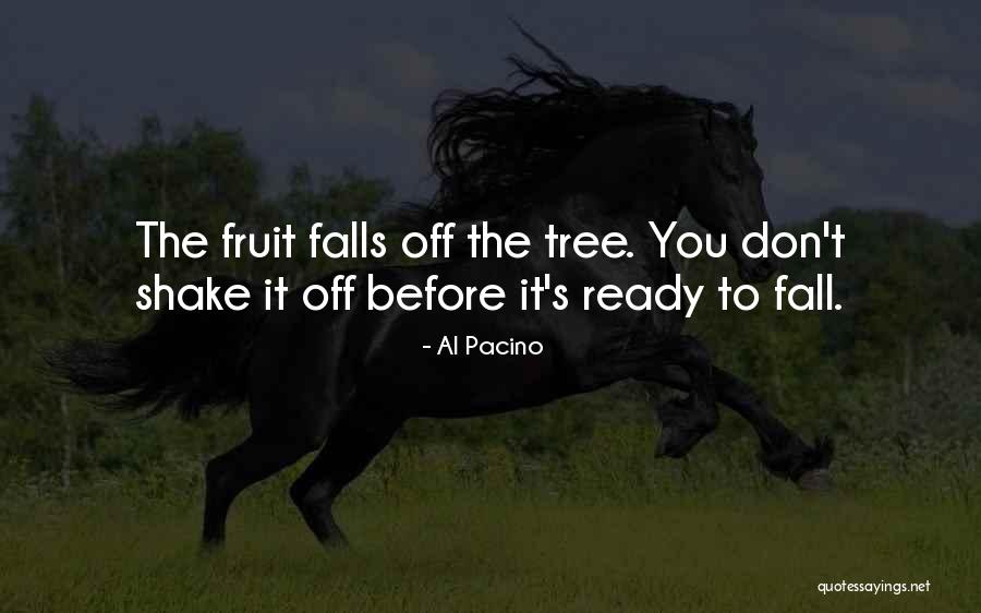 Danchi Quotes By Al Pacino Danchi Quotes By Al Pacino