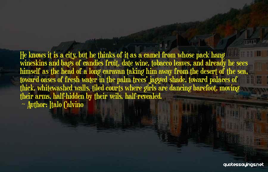 Dancing In Water Quotes By Italo Calvino