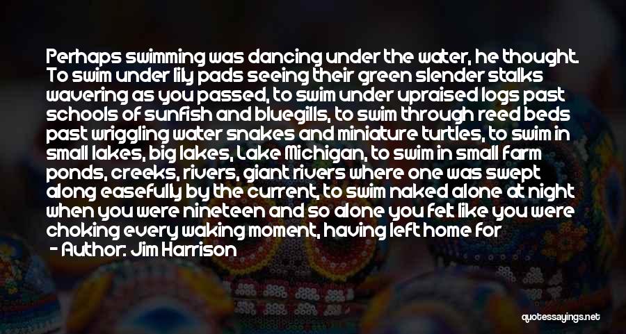 Dancing In Water Quotes By Jim Harrison