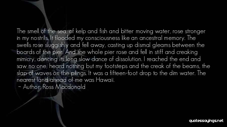 Dancing In Water Quotes By Ross Macdonald