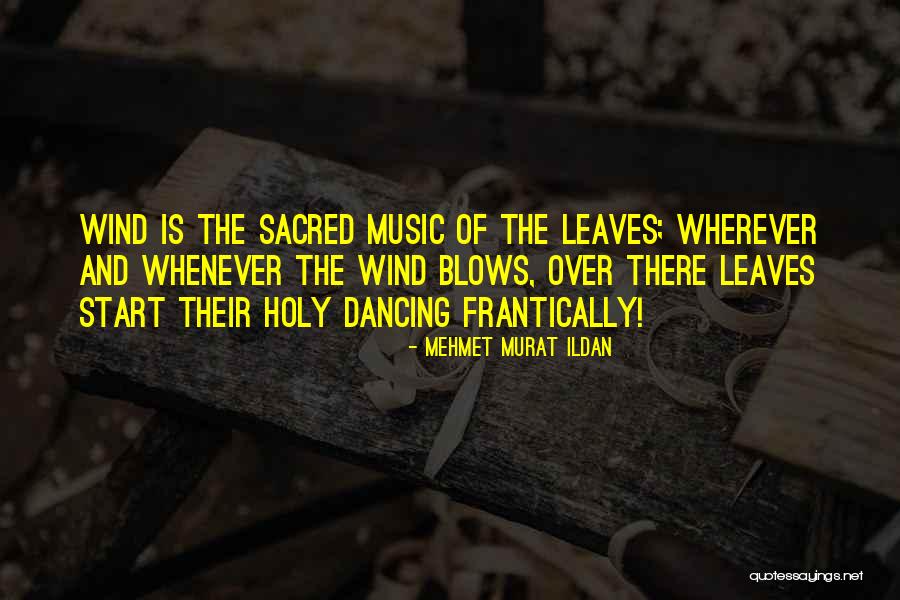Dancing Leaves Quotes By Mehmet Murat Ildan Dancing Leaves Quotes By Mehmet Murat Ildan