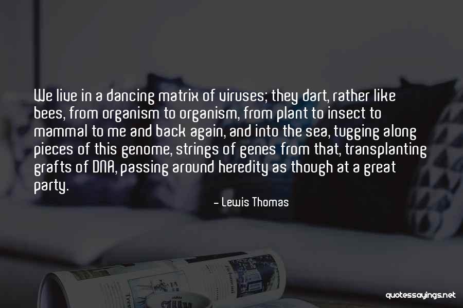 Dancing Plant Quotes By Lewis Thomas Dancing Plant Quotes By Lewis Thomas