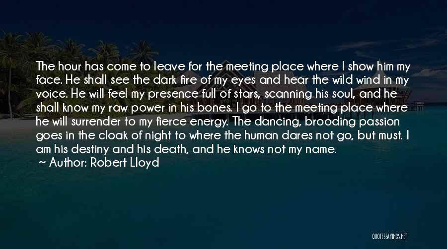 Dancing Under The Stars Quotes By Robert Lloyd