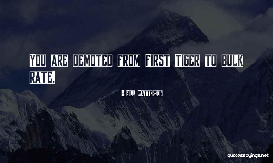 Dandakaranyam Quotes By Bill Watterson Dandakaranyam Quotes By Bill Watterson