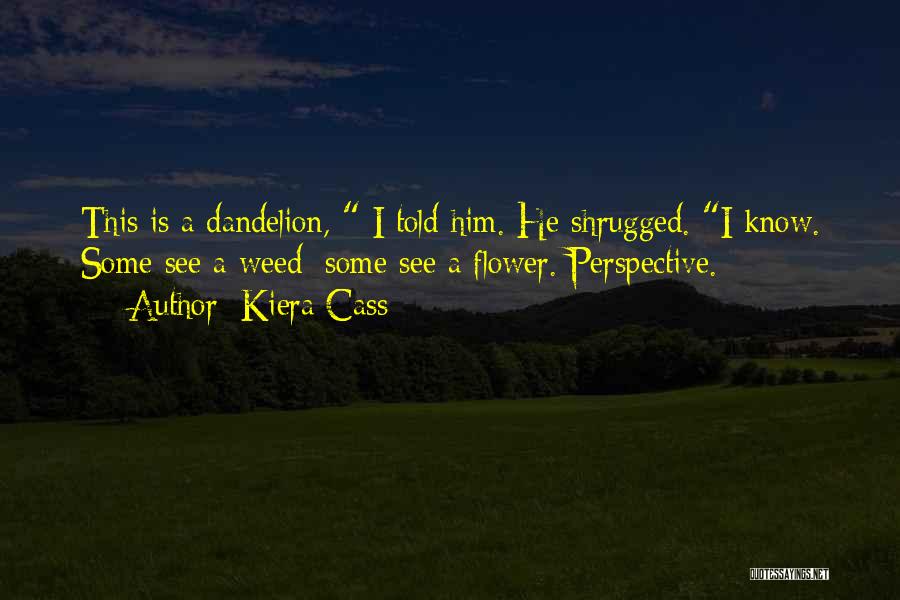 Dandelion Flower Quotes By Kiera Cass