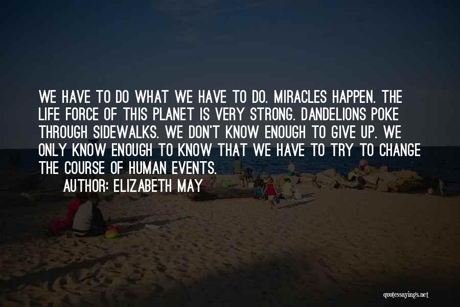 Dandelions Quotes By Elizabeth May