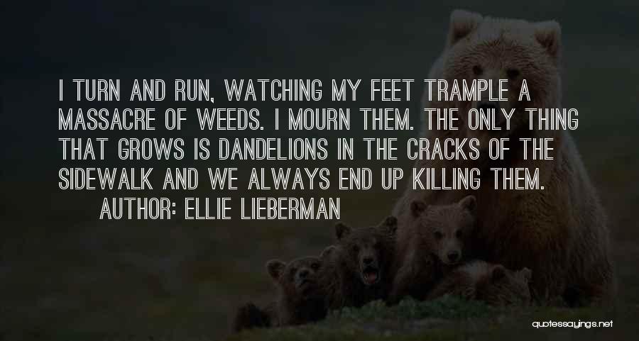 Dandelions Quotes By Ellie Lieberman